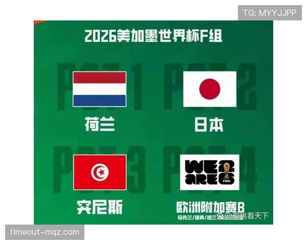 2026世界杯F组球队表现排名：荷兰居首突尼斯垫底
